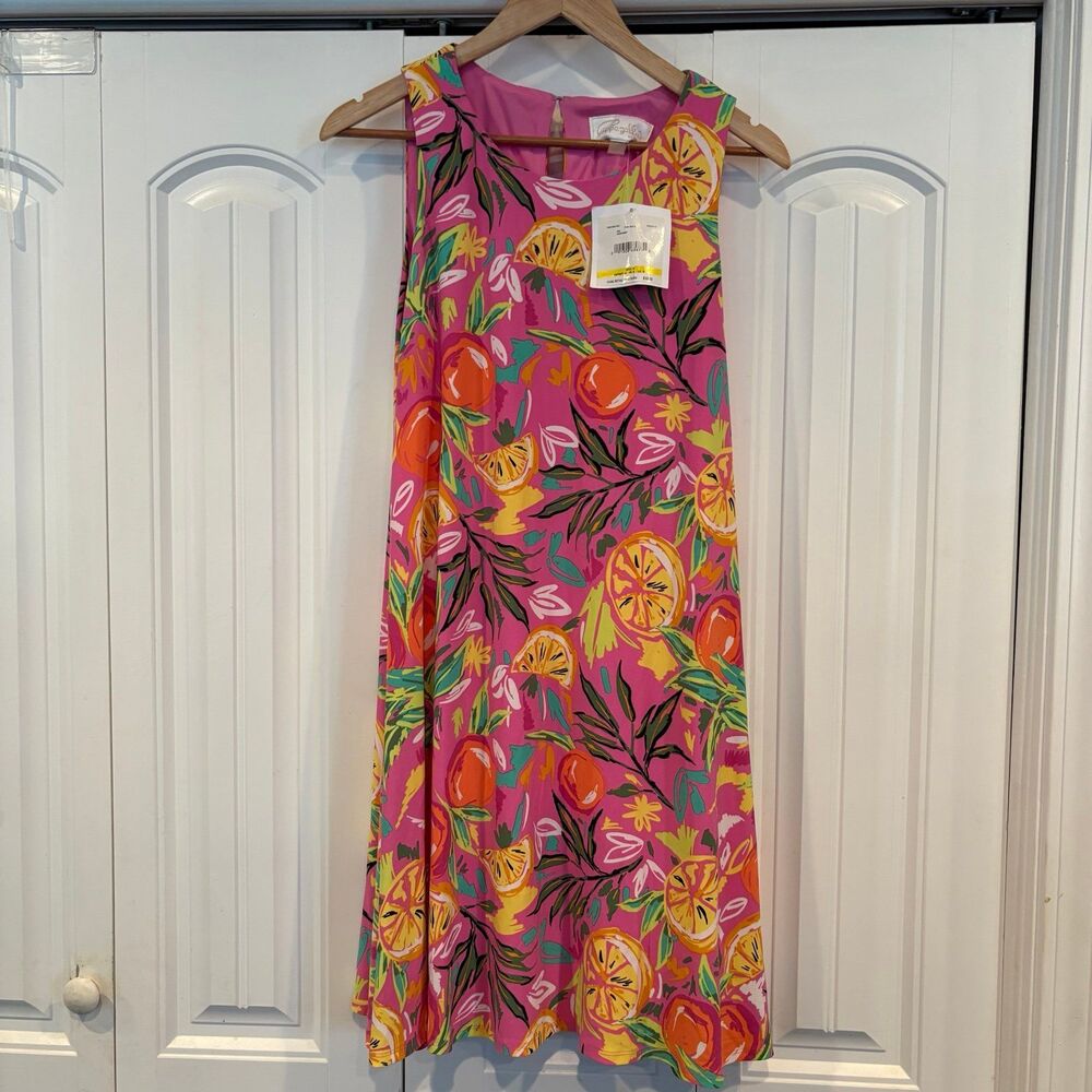 Cappagallo‎ Pink Fruit Pattern Dress Size Medium